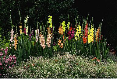 9月欧美服PS+ 二＆三档新增游戏公开 《死亡循环》等入库